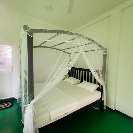 Why Not Backpackers Hostel Mirissa Exterior foto