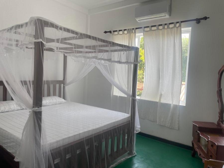 Why Not Backpackers Hostel Mirissa Exterior foto
