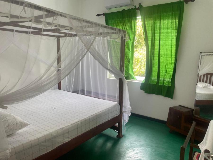 Why Not Backpackers Hostel Mirissa Exterior foto