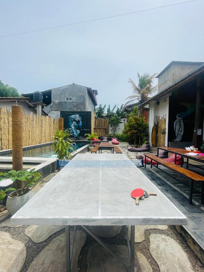 Why Not Backpackers Hostel Mirissa Exterior foto