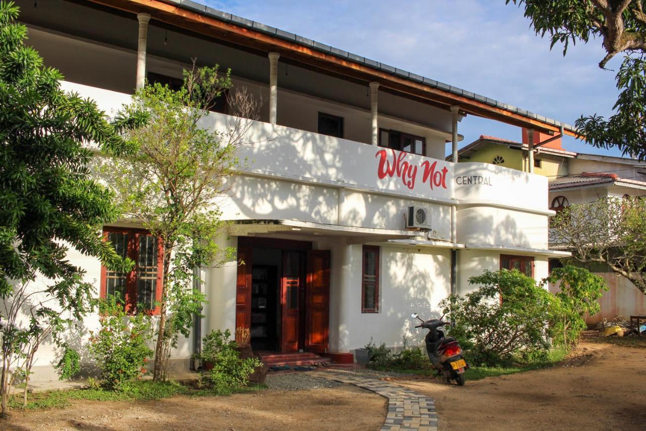 Why Not Backpackers Hostel Mirissa Exterior foto