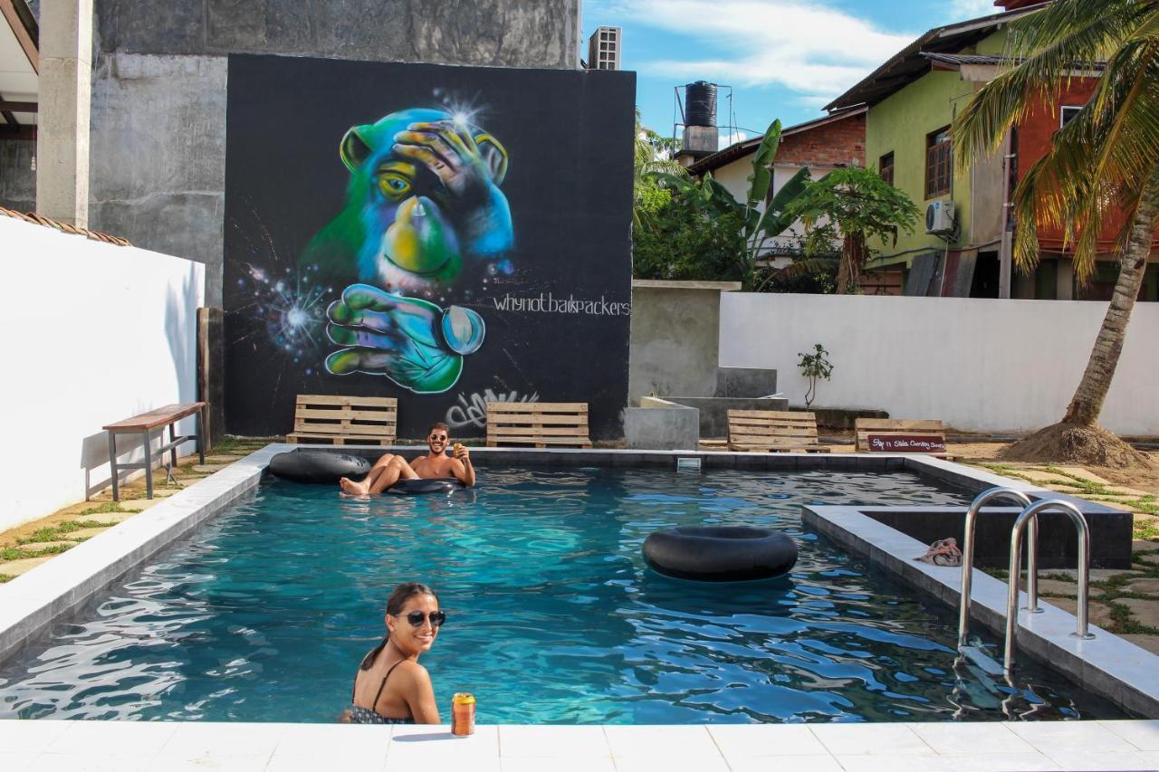 Why Not Backpackers Hostel Mirissa Exterior foto