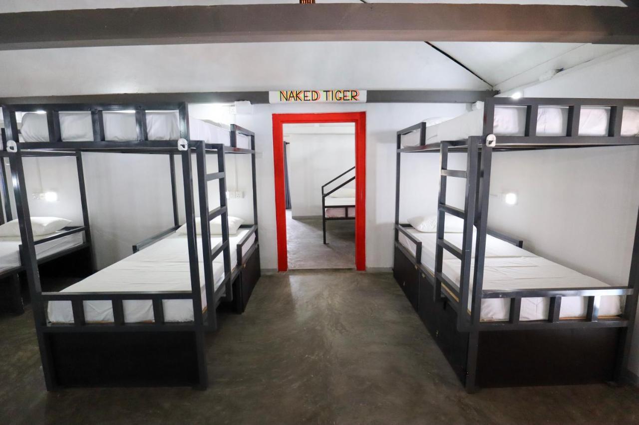 Why Not Backpackers Hostel Mirissa Exterior foto
